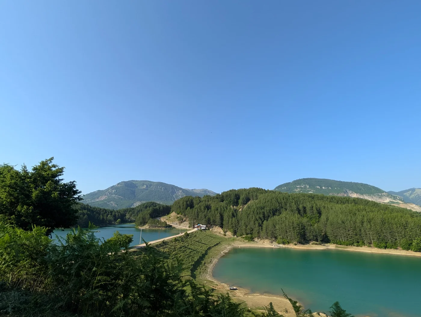 Two lakes surrounded by forests