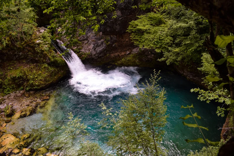 Photo of Blue Eye