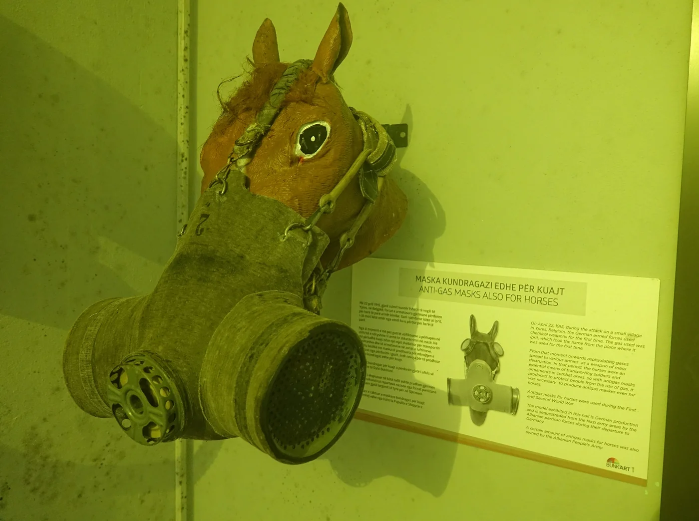Primo piano di un modello di cavallo con maschera antigas